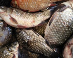 Россия усиливает контроль за ввозом мяса и рыбы из Литвы, - источник