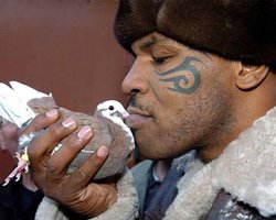 Тайсон: У братьев Кличко стиль кобры