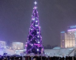 Митинги не мешают установке елки на Майдане, - КГГА