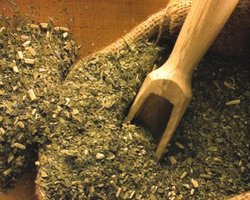 Чай мате защитит от возникновения рака и болезней легких