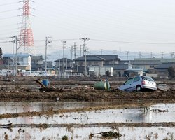 Япония выделит на восстановление экономики 220 млрд. долл