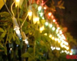 Киевская мэрия ищет наряд для главной елки 