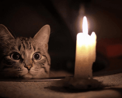 "Буде важко": у ДТЕК розповіли, коли українцям можуть запровадити графіки відключень світла