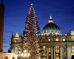 Впервые за 20 лет в Ватикане зажгли рождественскую елку из Украины
