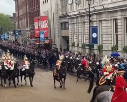 На коронационном шествии в Лондоне одна из лошадей врезалась в зрителей (видео)