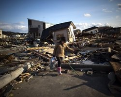 Японское цунами достигало в высоту 39 метров, - ученые