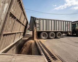 "Это блокада": Украина оспорит в суде запрет на импорт зерна в ЕС, если его продлят, — ОП