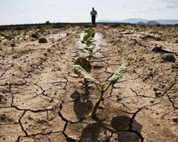 Реки мелеют, посевы гибнут: чем грозит Украине начавшаяся засуха