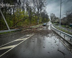 Последствия непогоды в Украине: двое погибших, более 1000 населенных пунктов без света (фото, видео)