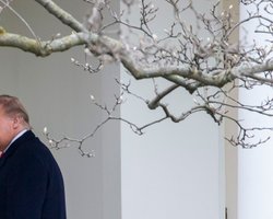 Трамп частично признал свою вину в штурме Капитолия,  – Fox News