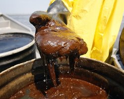 Украина за январь-август сократила импорт нефти в пять раз