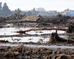 Сотни тысяч японцев страдают от нехватки еды и воды