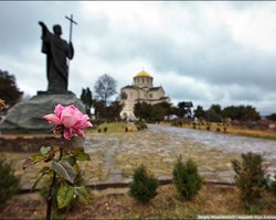 В Севастополе расцвели розы и герань