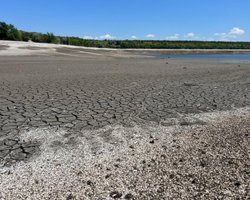 Подрыв Каховской ГЭС: два нацпарка на Херсонщине превращаются в пустыню, — Минэкологии (фото)