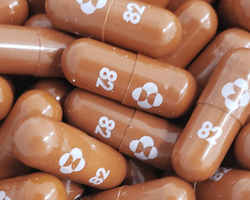 В Украине начинаются испытания таблеток Pfizer и Merck от коронавируса