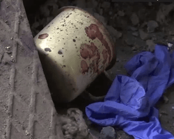 Іноземні журналісти вперше показали колонію Оленівки після удару (відео)