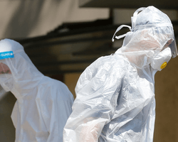 Статистика коронавируса на 22 сентября: 6754 новых случая, 2175 госпитализаций