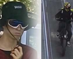 Пильнував кілька днів: журналіст помітив спільні риси між вбивством Парубія та Фаріон