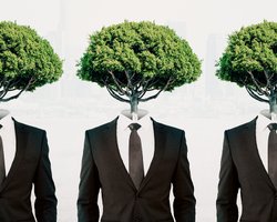 Не корысти  ради