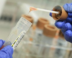 Кишечная инфекция E.coli добралась до Египта