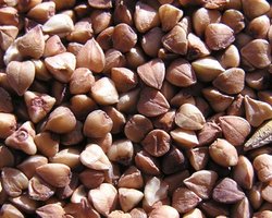 Парламент отменил пошлину на гречку