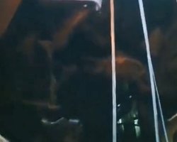 "Повністю розірвало": у мережі показали наслідки атаки дрону на російський танкер Sig (відео)