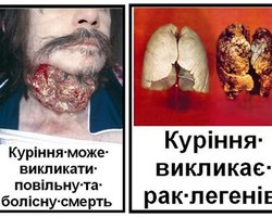 Картинки для сигаретных пачек не утвердили
