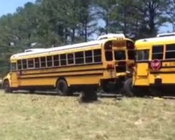 В США столкнулись шесть школьных автобусов: пострадали 65 человек