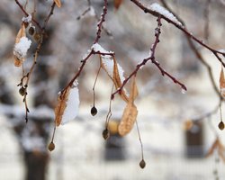 Погода в Україні: як довго триватиме нова хвиля похолодання