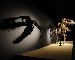 Кишечные газы динозавров могли изменить климат