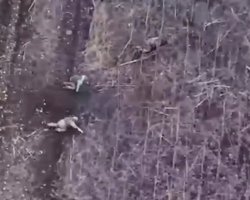 Сыграли в радиоигру: ВСУ хитростью уничтожили взвод морпехов в Курской области (видео)