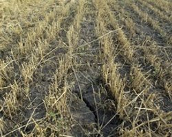 Рада может изменить процедуру наследования земли