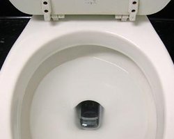 В Никополе на избирательном участке в унитазе застрял наблюдатель