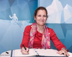 Фриланд сказала, когда Украина может начать покупать оружие у Канады