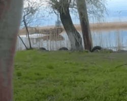 Опознали по повязкам: ССО устроили успешную засаду на лодку россиян на Херсонщине (видео)