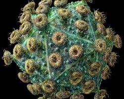 Вирусом СПИДа можно вылечить детей от редкого заболевания