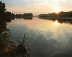 Загрязнение Десны: в Министерстве экологии разъяснили ситуацию с рекой (видео)