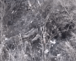 ЗС РФ розстріляли дев'ятьох військовополонених ЗСУ біля Бахмута, – DeepState (карта)