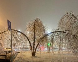 Мокрый снег и -18 градусов: Диденко рассказала, какой непогоды ждать в Украине на выходных