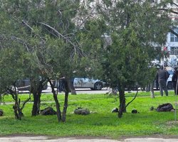 В Одесі відсторонили двох голів ТЦК: у ЗСУ підтвердили затримання військових працівниками СБУ