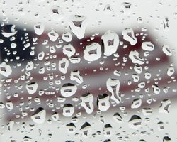 В Нью-Йорке из-за урагана служба 911 не справляется со звонками