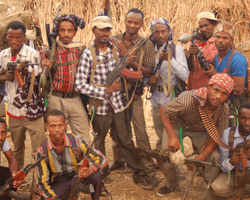 Сразу 9 группировок объединили свои усилия для свержения правительства в Эфиопии (видео)