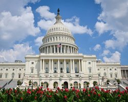 Россия, Китай и Иран влияют на промежуточные выборы в Конгресс США, – ФБР