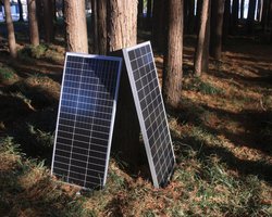 Сонячні панелі люди викидають тоннами: вчені пояснили, в чому їхня небезпека