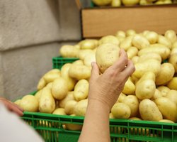 В Украине падают цены на популярный овощ: что стало причиной