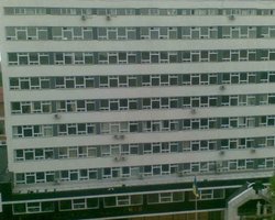 Кабмин  сделает из юракадемии Кивалова университет