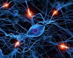 99% украинских академиков не имеют отношения к науке, — Алексей Верхратский