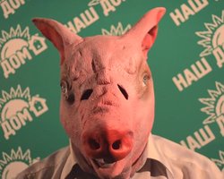 Африканская чума. Главный кабан Беларуси записал обращение к Лукашенко