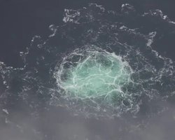 Вибух на "Північних потоках": що відомо про підозрюваного українця