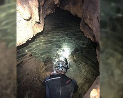 Скарб льодовикового періоду: у печері знайдено стародавню черепаху і броненосець розміром із лева (фото)